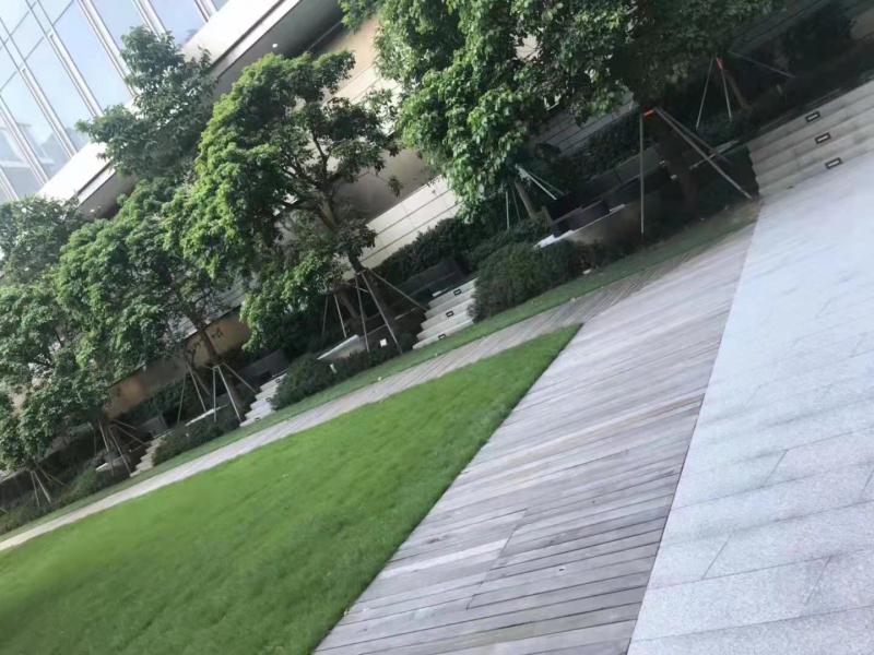 綠化養(yǎng)護
